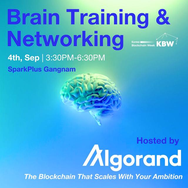 Brain Training & Networking